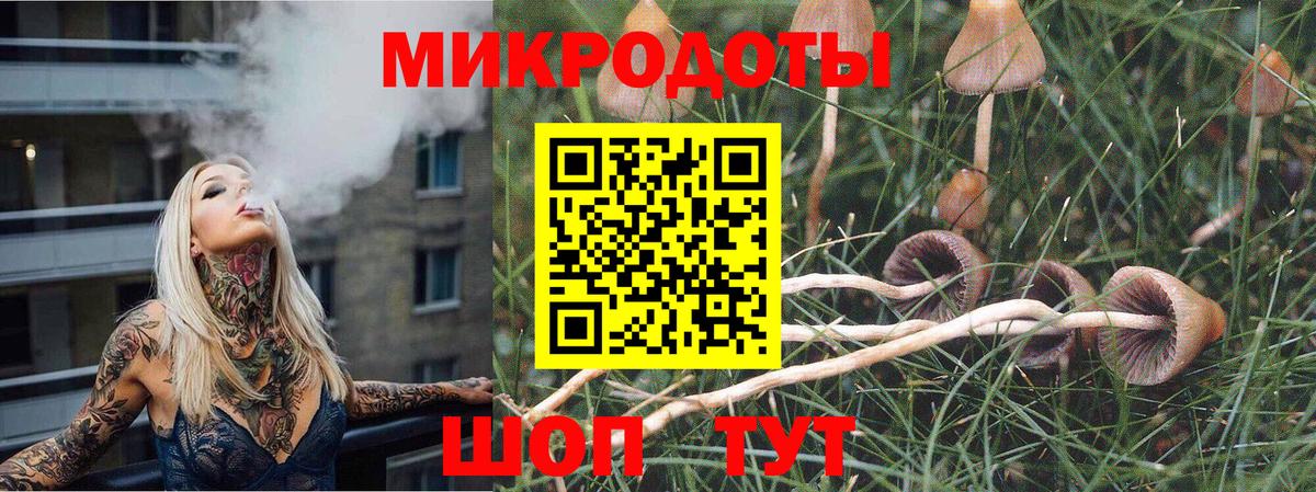 даркнет сайт  Галлюциногенные грибы MAGIC MUSHROOMS  Вход с VPN  Псилоцибиновые грибы мицелий  Богданович 
