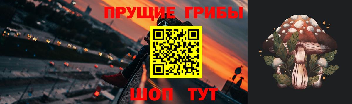 Галлюциногенные грибы Psilocybine cubensis Богданович